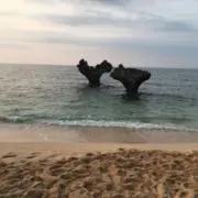 と☆の画像