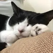 えるもの画像