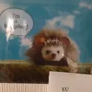 クローバー♡プロフ必読！の画像