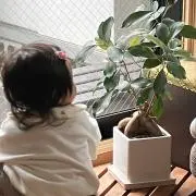 ａの画像