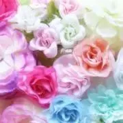 ハピネス★丁寧梱包・迅速発送の画像