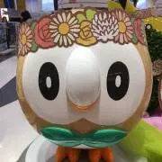 bear【プロフ必読お願いします】の画像