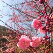 mOromo（プロフ必読お願いします）の画像