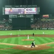 シベリアンハスキー