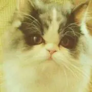 ろーた