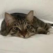 かぁちゃん
