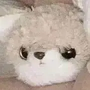 りんやの画像