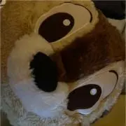 ゆたろう