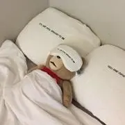 はるの画像