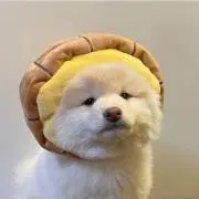 Hの画像