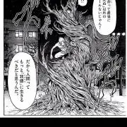 竹本 発送本日22時半の画像
