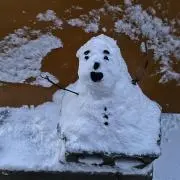 PM
