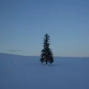 mwの画像
