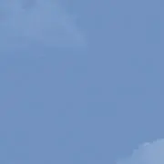 ゆの画像