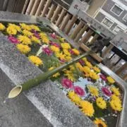 chanの画像