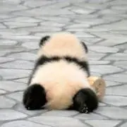 nの画像