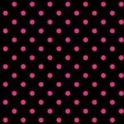 ぴのの画像