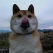 Nammyの画像