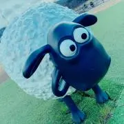 ayの画像