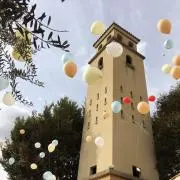 引き取り限定 爬虫類倶楽部 120×45×60ケージ中古 - メルカリ