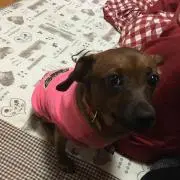 みつの画像