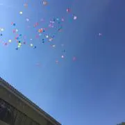 mnmの画像