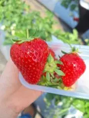 .*.꒰ঌるん໒꒱.*.の画像