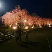 ひーろー
