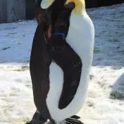 Kitaの画像