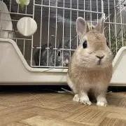 まぁこの画像