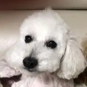 ぽん　(プロフ確認願います☆)