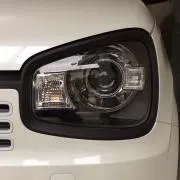 いずみの画像