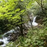 さんぞう