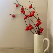 Naの画像