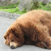 〇(多忙返事遅)プロフ確認必須