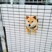りょう