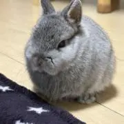 Kの画像