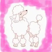 プートル☆セール中⭐︎SALEの画像