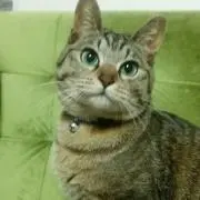 あづ