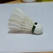 はっしーの画像