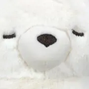 ぽん丸の画像