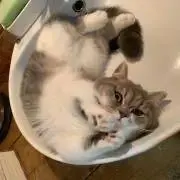 じゅりりんの画像
