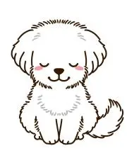 わんこ