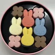 わんわんの画像
