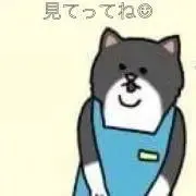 本も服も︎☺︎平日のみ発送の画像