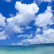 夏の海の画像