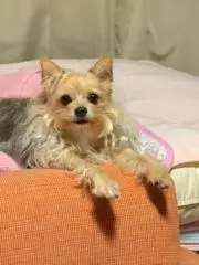 ｍerua
