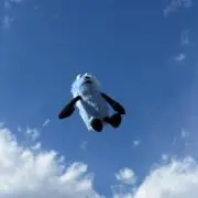 Hiiiitoの画像