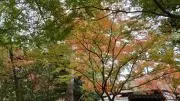 mitukunの画像