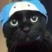 JJの画像